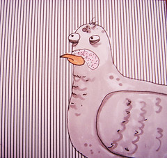 pigeon_lines