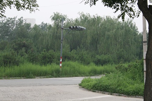 Beijing Driving School (by niklausberger)