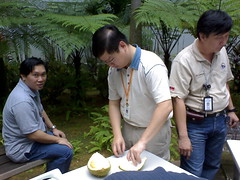More durian gathering photos