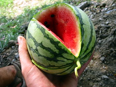 Mini watermelons for sale for 0.16 Euro a kilogram near Luxu, Jiangsu Province, China