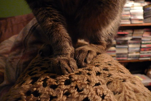 set the warp drive for FUZZY FEET
