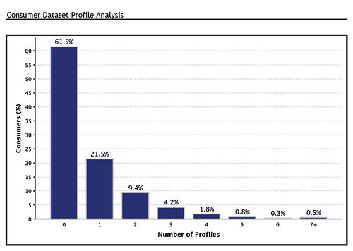Consumer Dataset Profile Analysis