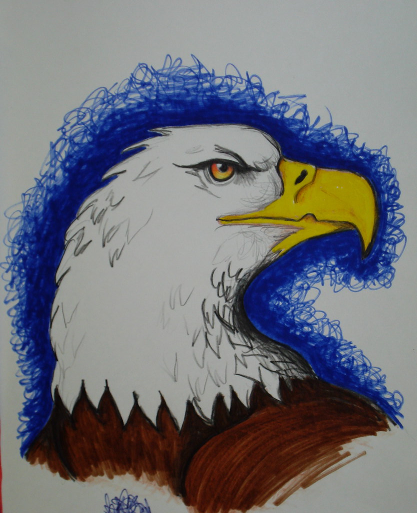 Eagle Sketch