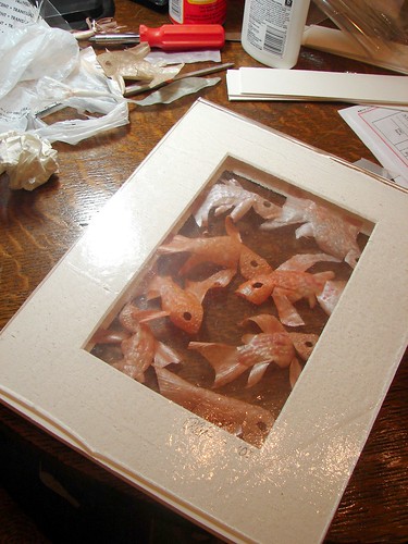 Goldfish before framing