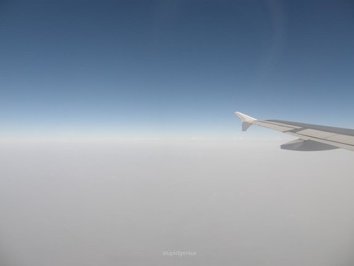 Plane View