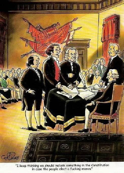 Constitution cartoon