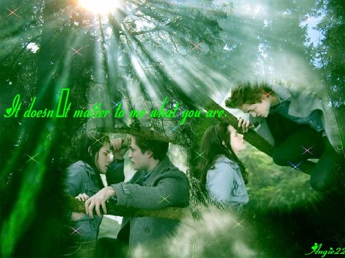 twilight wallpaper edward. Edward amp; Bella (Twilight)