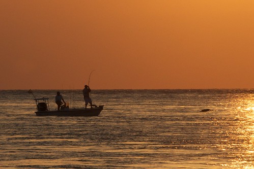 Tarpon Fishing at Sunset on the Gulf of Mexico