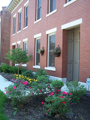 some of Old North's new homes (image courtesy of Old North St. Louis)