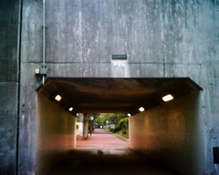 【写真】VQ1005で撮影した朝の風景（トンネル）