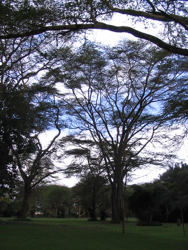 你拍攝的 10 Lake Naivasha Country Club。