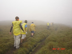 on our way to the summit passing grassland....maulan noon