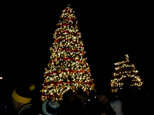 2008 Christmas Tree Lighting