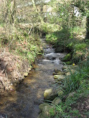 Coombe Mill stream