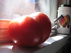 Our 1st Tomato of the Year!!!