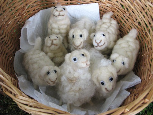 Ämma tehtud lambad
