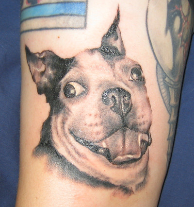 tattoos of dogs. Tattoos by Jason Goldberg,