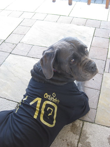 Blue sports her campaign t-shirt