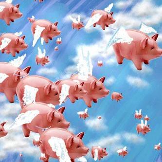 Flying pig by you.
