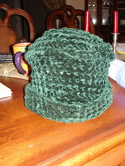fuzzy green hat