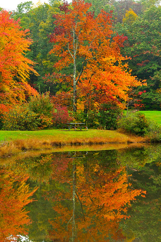 First Fall Color Reflections