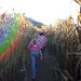 Girl scout troop 980 corn maize trip