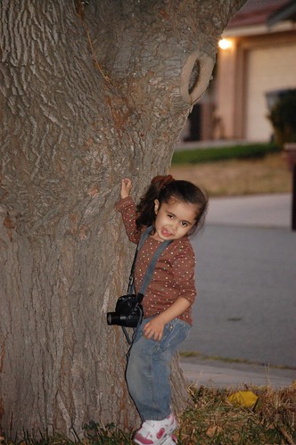 silly with camera and tree