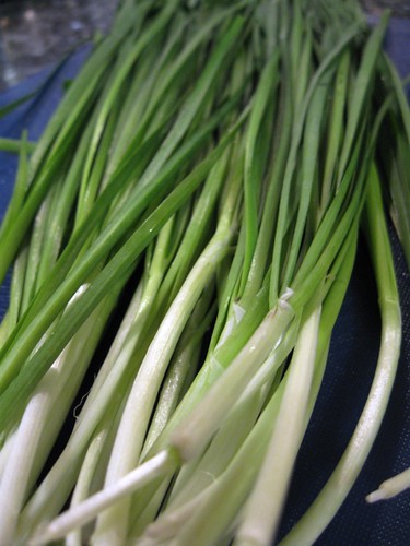 Chinese chive recipes