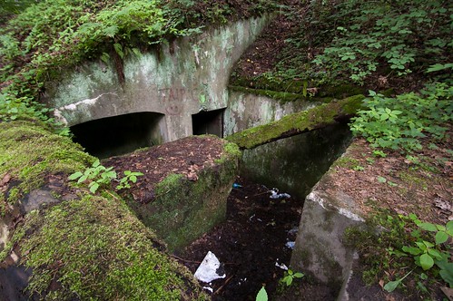 Apleisti bunkeriai (1)