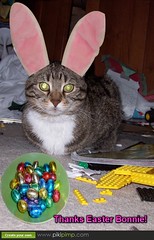 It’s the Easter Bonnie! by Tabbymom Jen, on Flickr