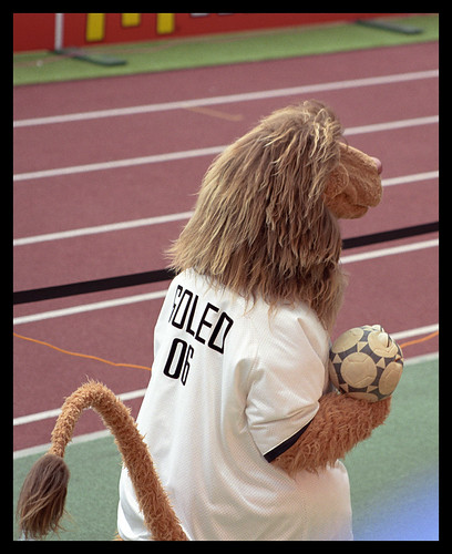 World Cup 2006 (Set)