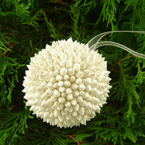 white nassa kissing ball ornament