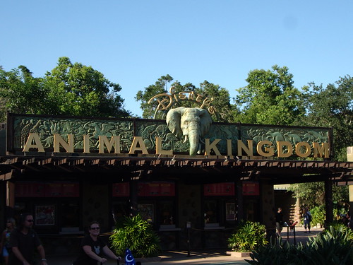 Disney's Animal Kingdom entrance