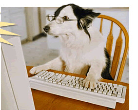 frank perro computadora