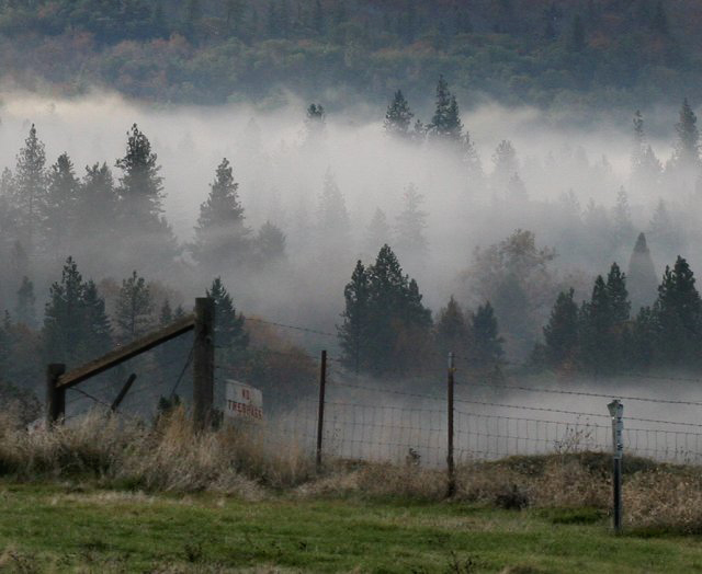 Valley Fog and Fence