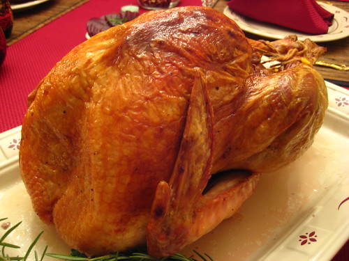 the Thanksgiving bird