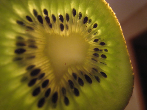 Kiwi Fruit Closeup