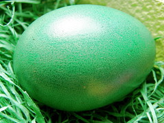 Green egg photo
