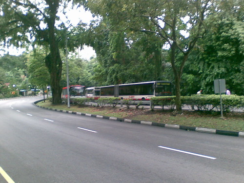 Queue of stopped buses along Stevens Rd
