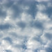 藍天白雲變化萬千21.jpg