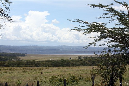 你拍攝的 30 View from Lake Nakuru Lodge。