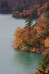 オコタンペ湖畔の紅葉
