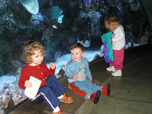 Two-Year-Old Leo at the Long Beach Aquarium