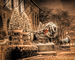 Chicago Art Institute Lions with Christmas Wreath: 4