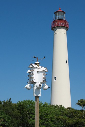 Cape May lighthouse and birdhouse /  By Vilseskogen