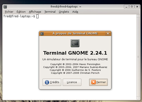 Gnome Terminal 2.24.1