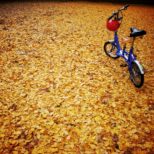bike on yellow