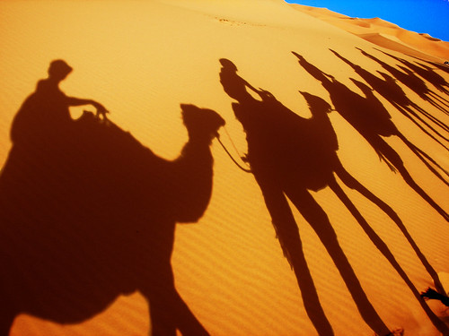Camel caravan shadow