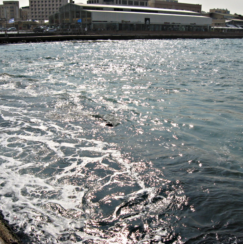 23-10-2008-sunshineondawater2