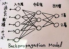 Backpropagation Model